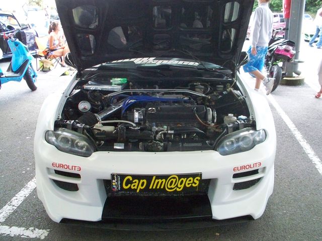 delsol